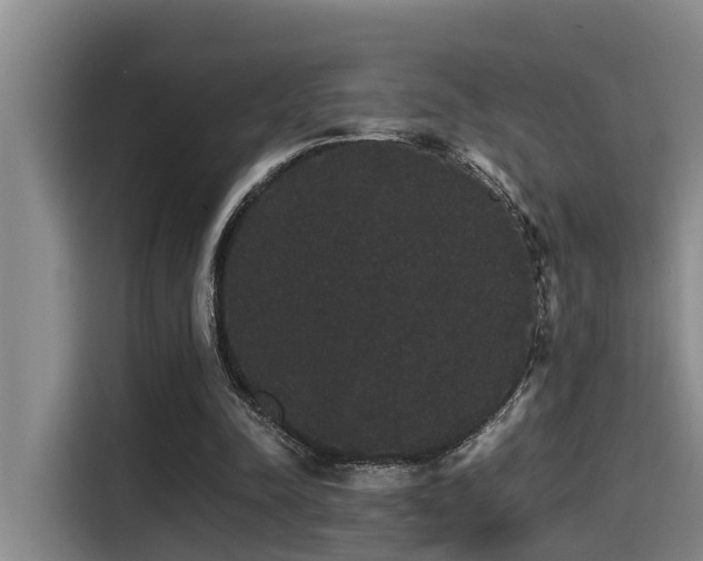 X0000115270342200911061312