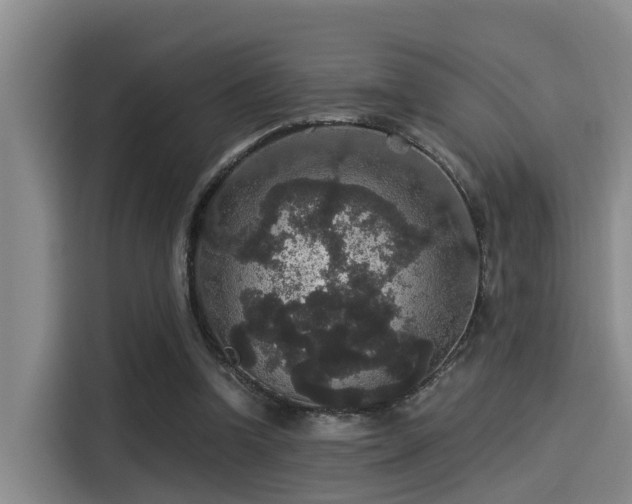 X0000115270346200911061312