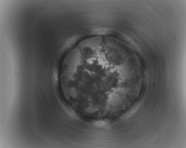 X0000115270358200911061312