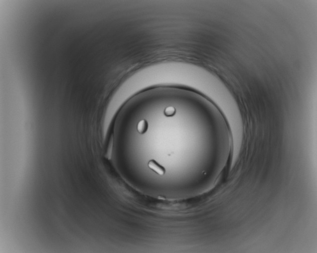 X0000115270359200911061312