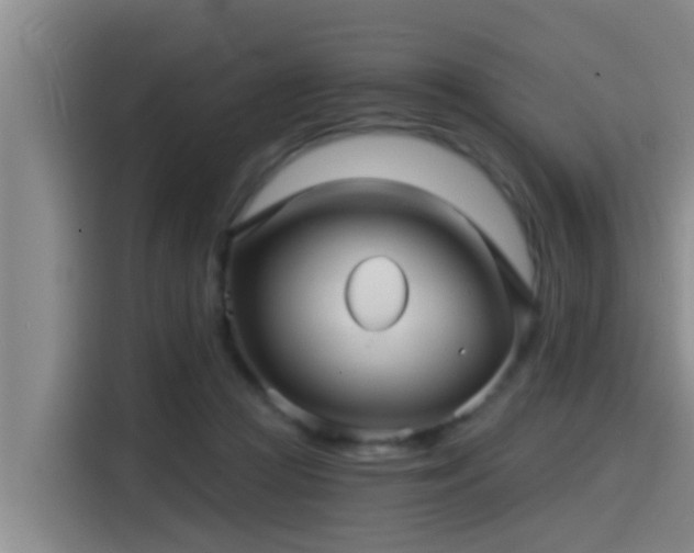 X0000115270361200911061312