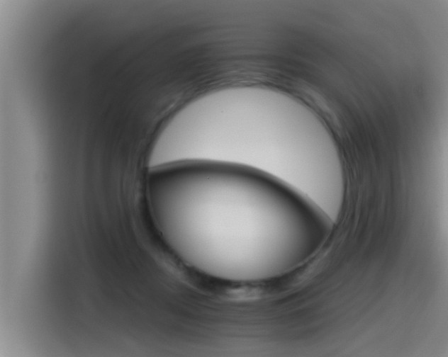 X0000115270362200911061312