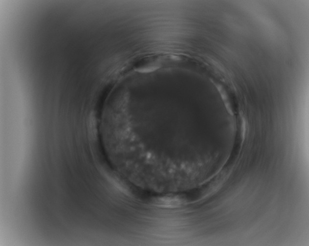 X0000115270366200911061312
