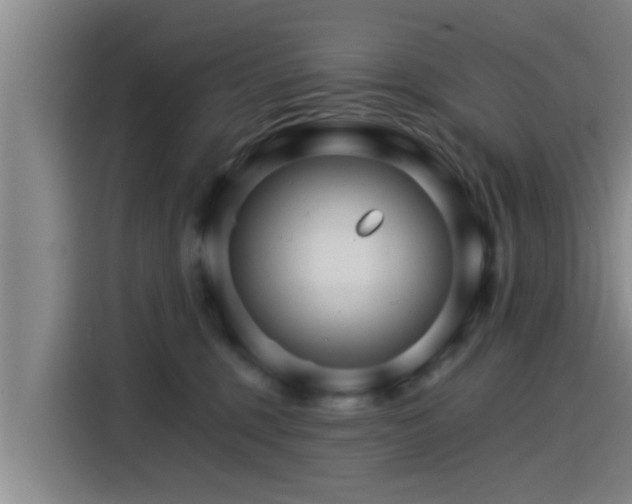 X0000115270375200911061312