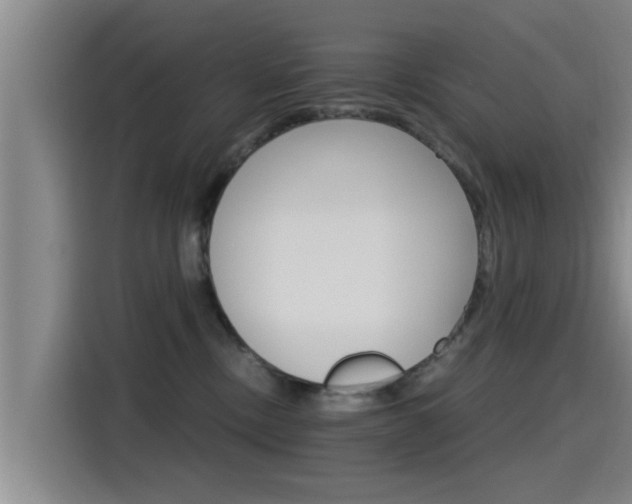 X0000115270378200911061312