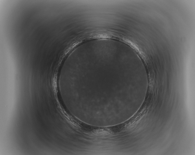 X0000115270386200911061312