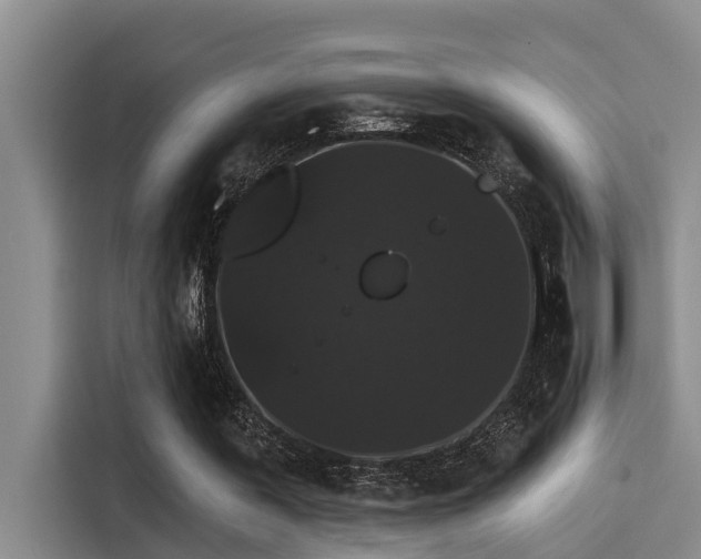 X0000115270387200911061312