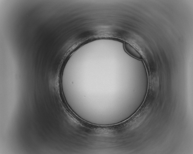 X0000115270389200911061312