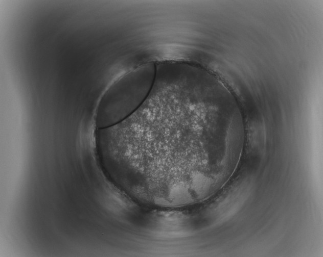 X0000115270395200911061312