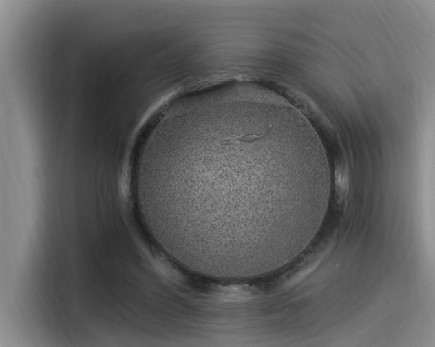 X0000115270396200911061312