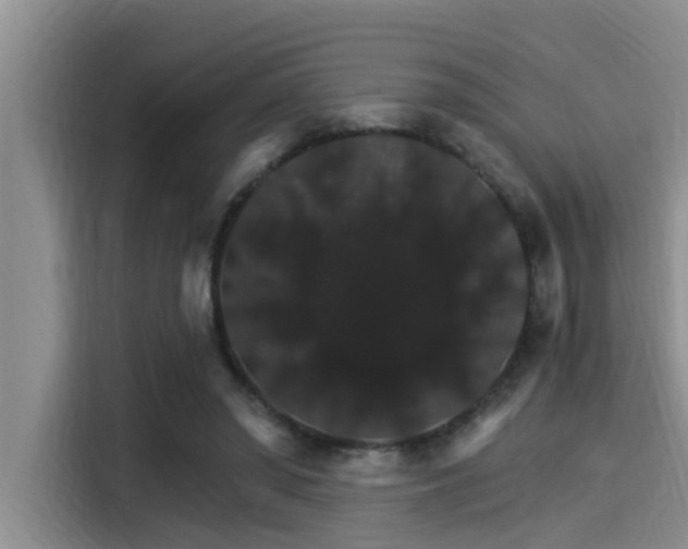 X0000115270398200911061312