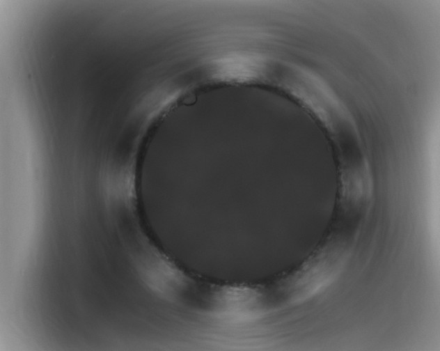 X0000115270399200911061312