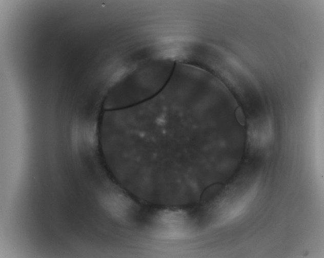 X0000115270403200911061312