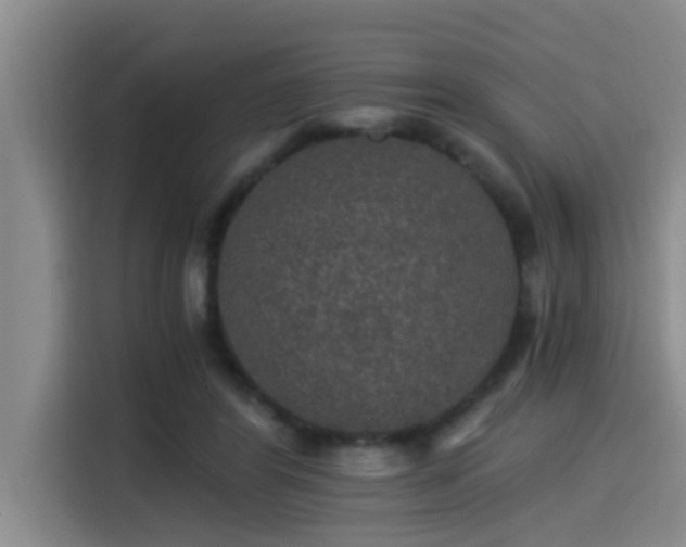 X0000115270404200911061312