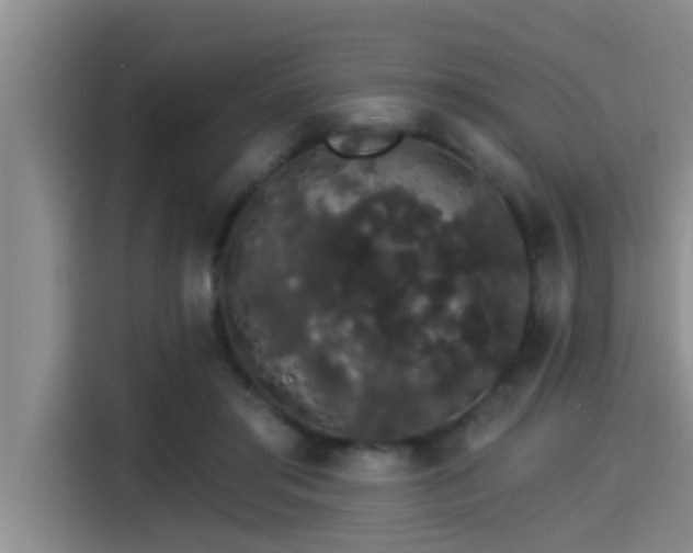 X0000115270405200911061312