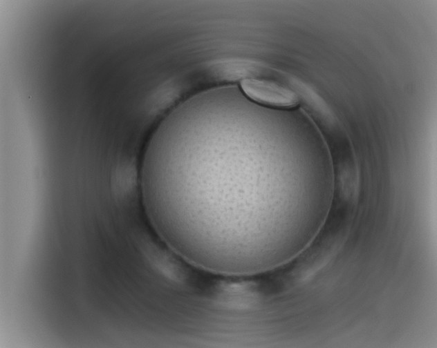 X0000115270407200911061312