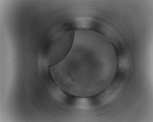 X0000115270409200911061312