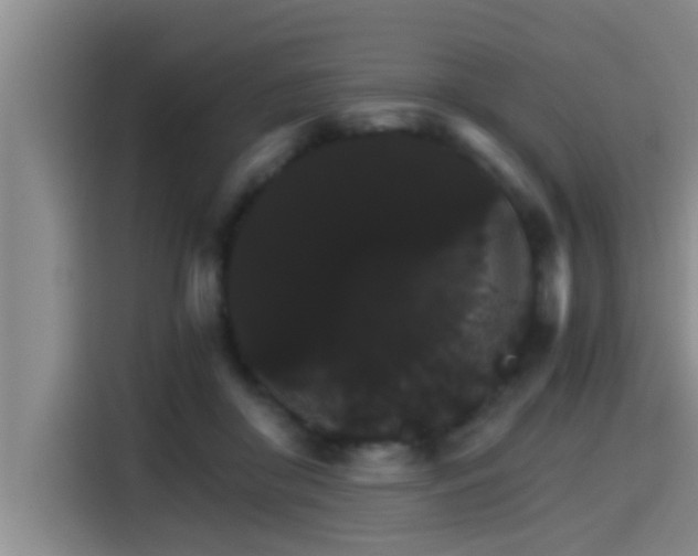 X0000115270410200911061312