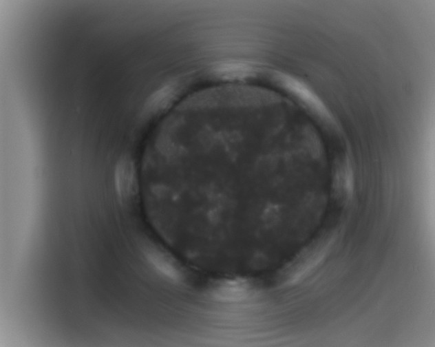 X0000115270411200911061312