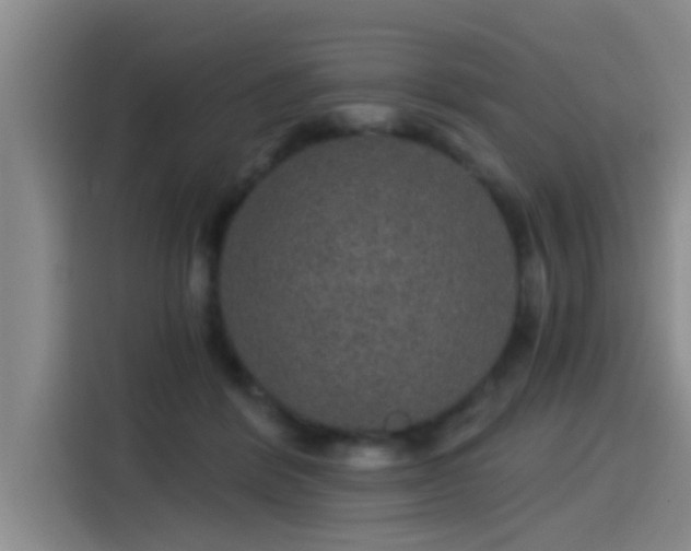 X0000115270412200911061312