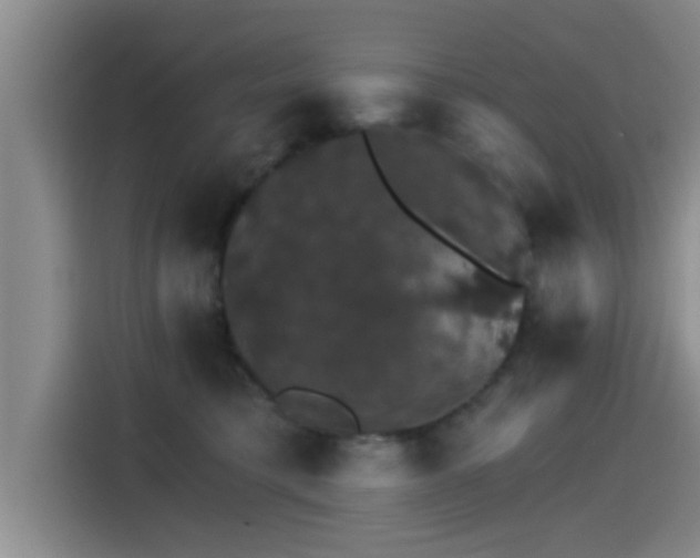 X0000115270421200911061311