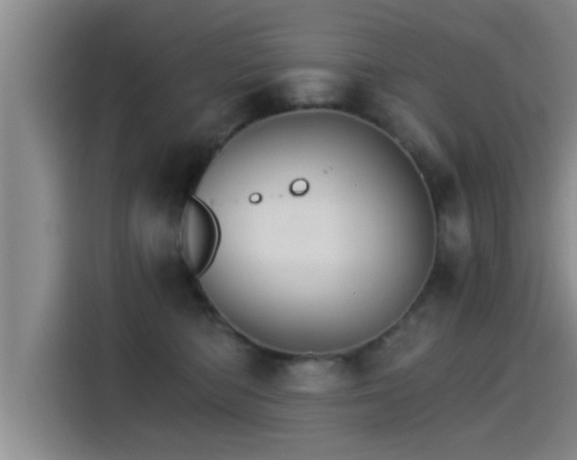 X0000115270422200911061311