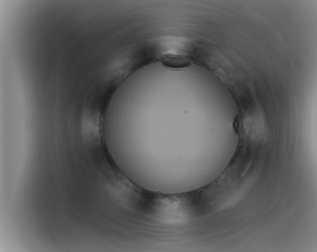 X0000115270423200911061311