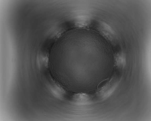 X0000115270427200911061311