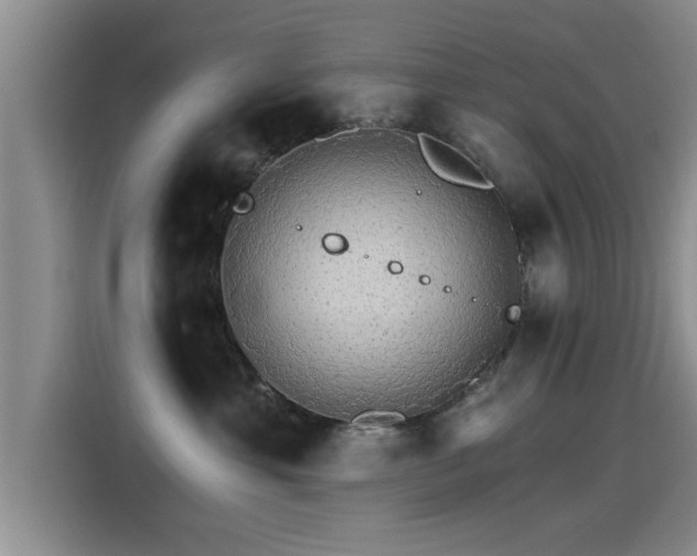 X0000115270429200911061311