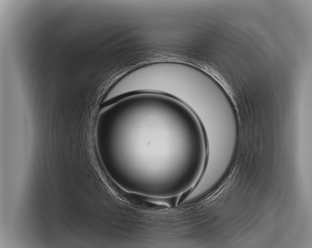 X0000115270433200911061311