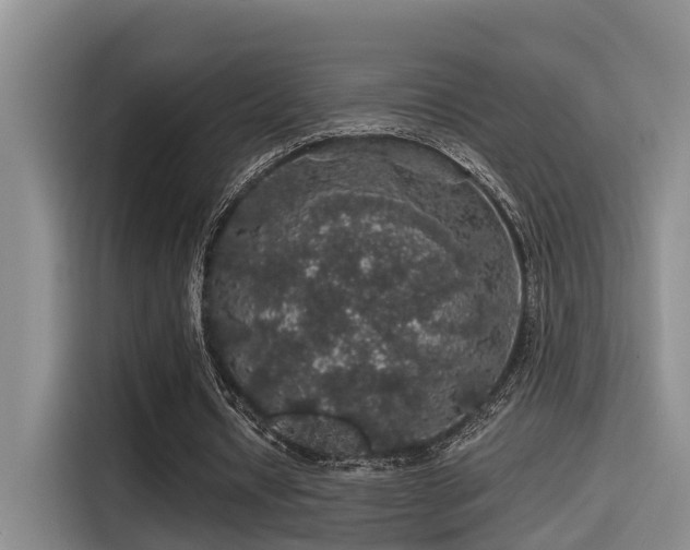 X0000115270434200911061311