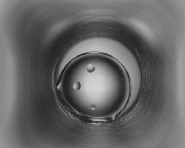 X0000115270435200911061311