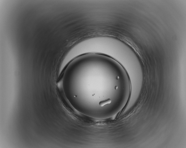 X0000115270441200911061311