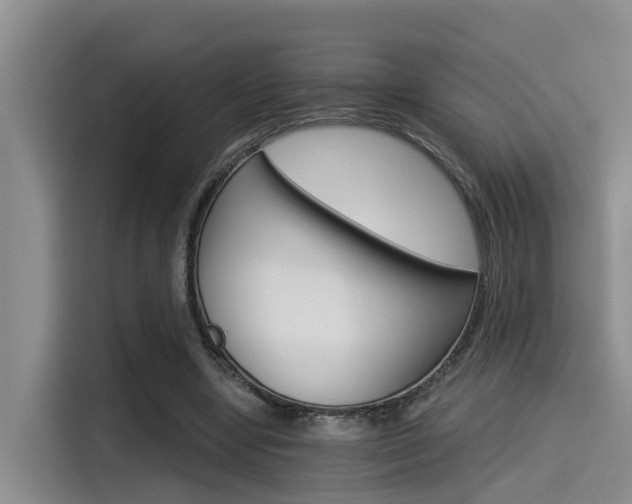 X0000115270442200911061311