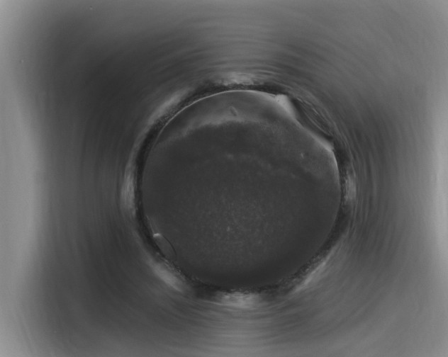 X0000115270444200911061311