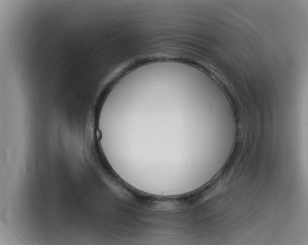 X0000115270446200911061311