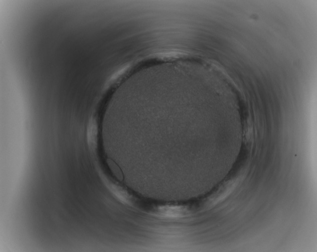 X0000115270448200911061311