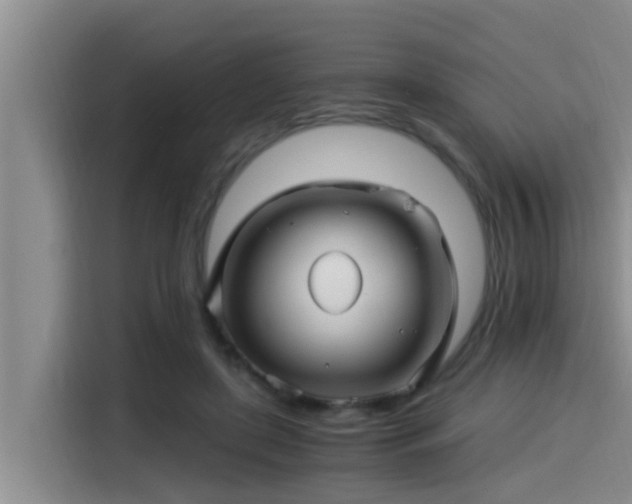 X0000115270451200911061311