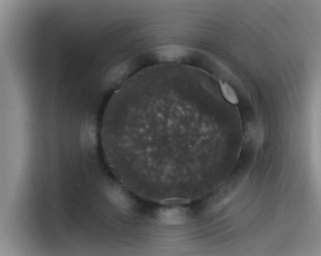 X0000115270452200911061311