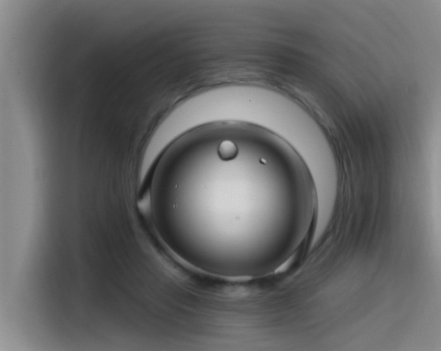 X0000115270453200911061311
