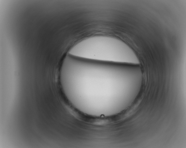 X0000115270458200911061311