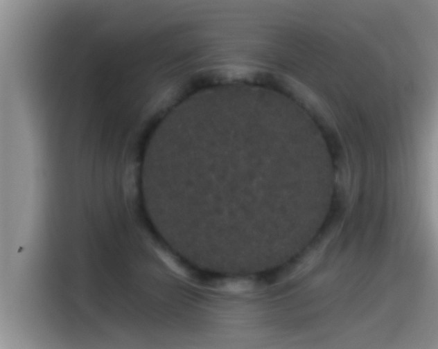 X0000115270462200911061311