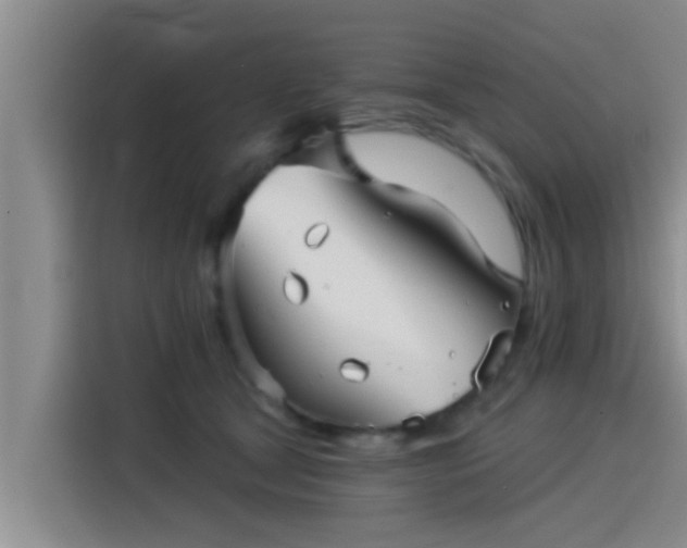 X0000115270465200911061311