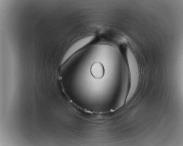 X0000115270467200911061311