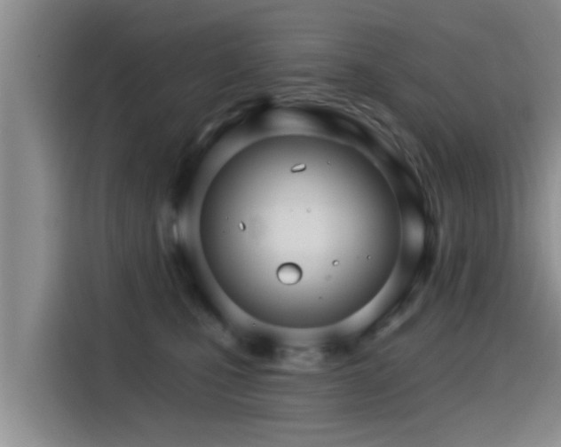 X0000115270471200911061311