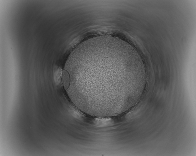 X0000115270480200911061311
