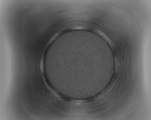 X0000115270482200911061311
