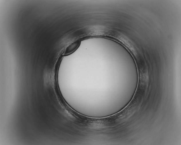 X0000115270485200911061311