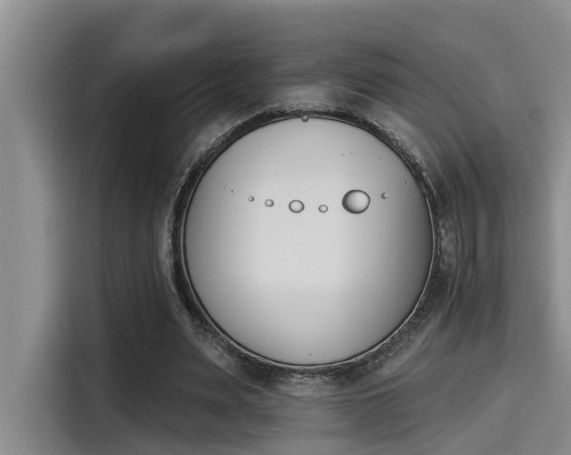 X0000115270487200911061311