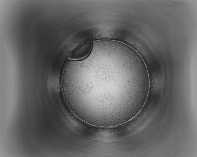 X0000115270489200911061311